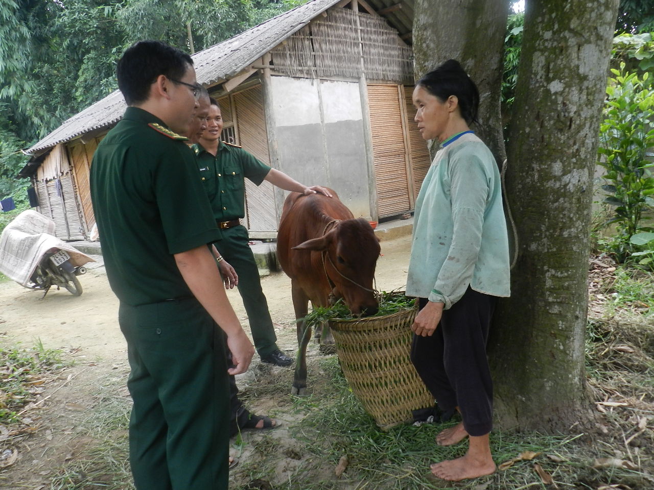 Họ đang xây “phên dậu